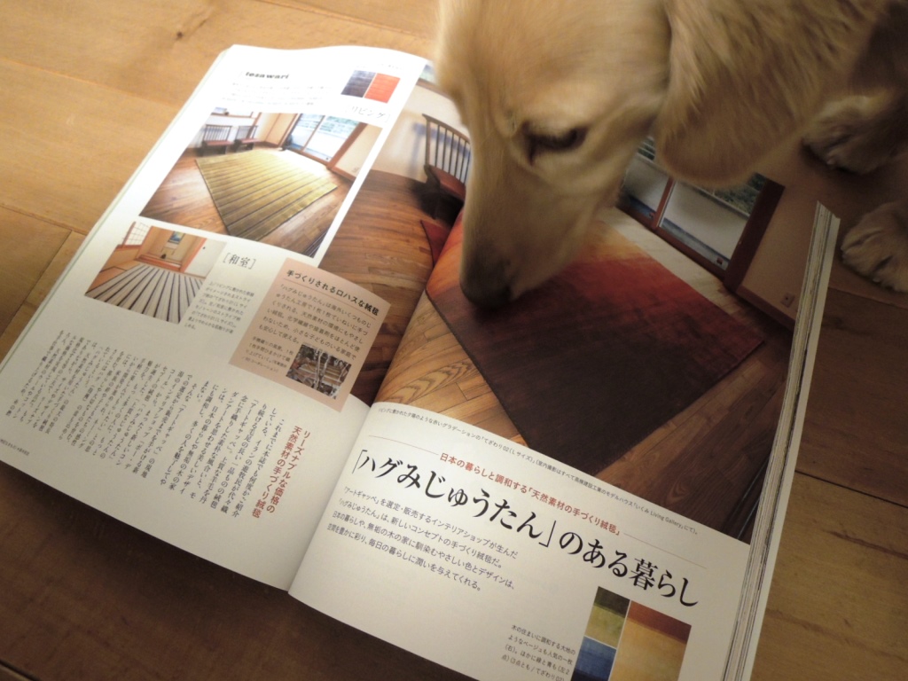 ハグみじゅうたん