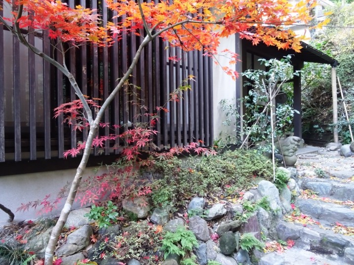 DSC04177