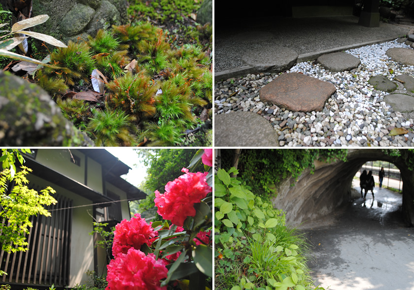 写真4